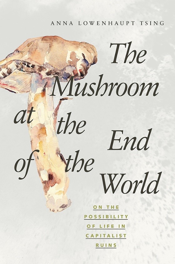 Mushroom at the end of the world