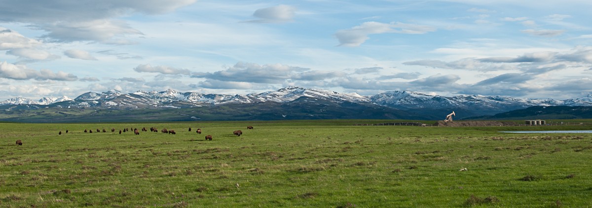 A picture of Blackfeet lands