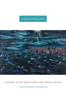 The cover features a painting of enslaved peoples in a ship. There are some individuals in the ocean.