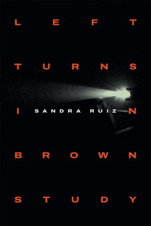 The Book Cover of Left Turns in Brown Study