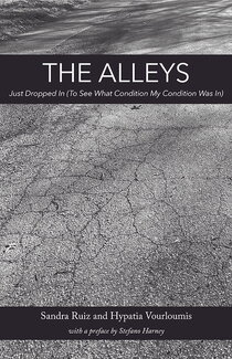 The front cover of The Alleys