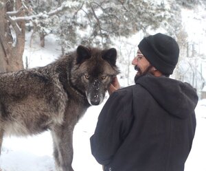 Austin and the wolf, Ydun