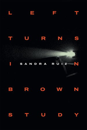 The Book Cover of Left Turns in Brown Study