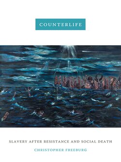 The cover features a painting of enslaved peoples in a ship. There are some individuals in the ocean.
