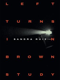 The Book Cover of Left Turns in Brown Study