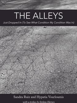 The front cover of The Alleys