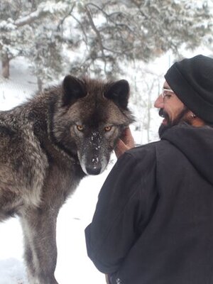 Austin and the wolf, Ydun